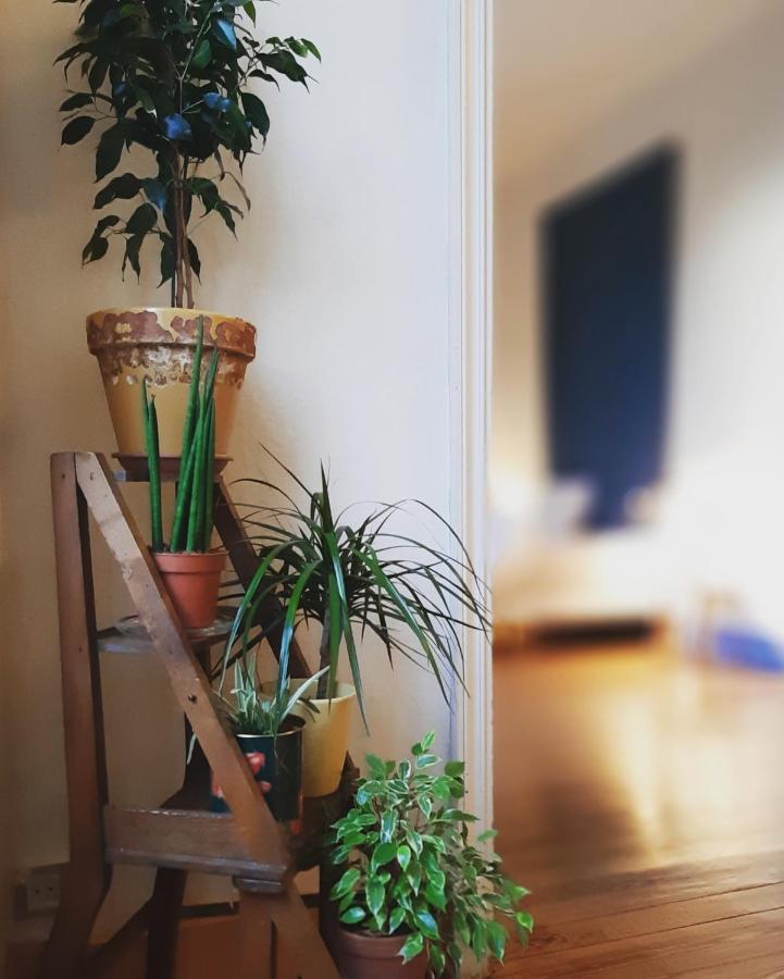 Maison Saint James Montélimar Kültér fotó